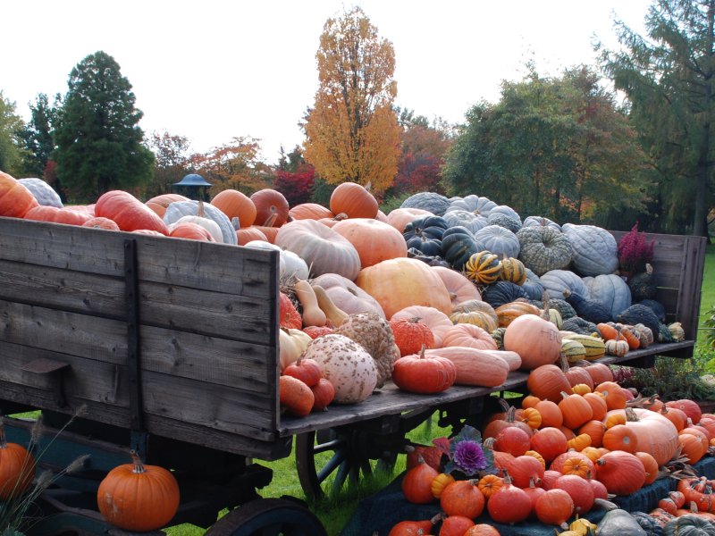 Herbst